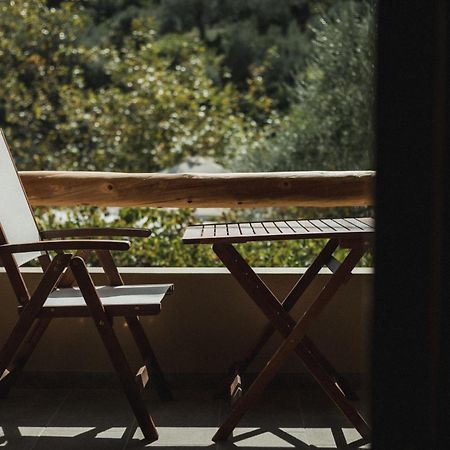 Acropolis Mystra Guesthouse Mistra Zewnętrze zdjęcie